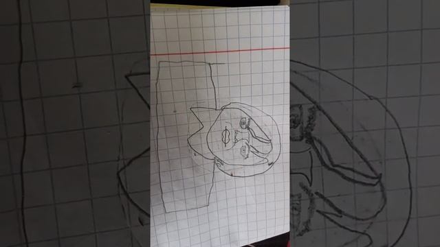 Мумий Тролль