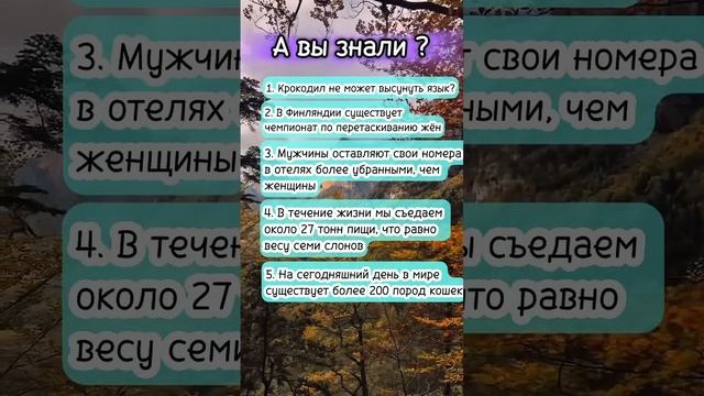 А вы знали? #интересныефакты