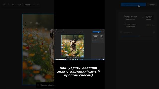 Как убрать ватермарк с  картинки  или  фото