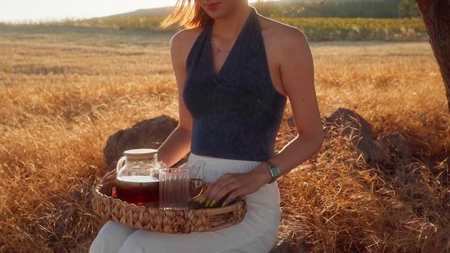 12150748_1920_1080_100fps
