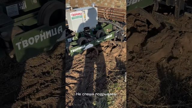 Ремонт молодого лавандового поля