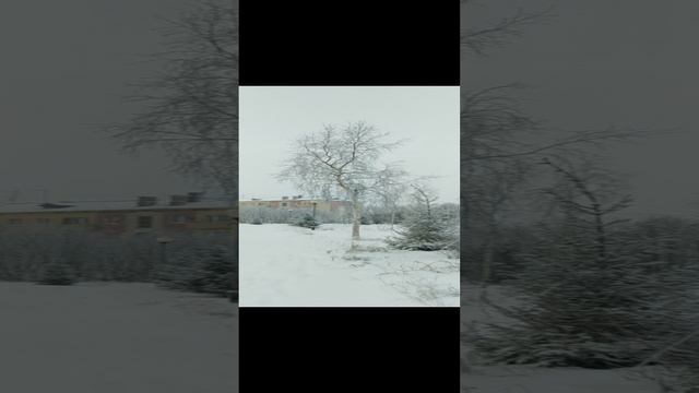 VID_20241109_132907.mp4 Елена Дружиненко Воркута