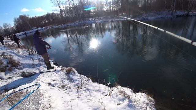 Мороз, солнце и форель. Рыбалка в Ноябре по жидкой воде!