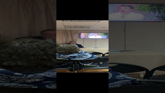 #фаду в #люблисорьезнаний #викторгалустян #москва #ноябрь2024