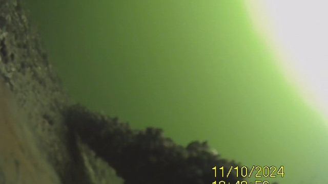 1000031823.mp4яДно Волги.10.11.2024г.