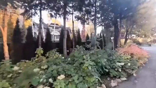 Серебряный бор-жемчужина Москвы