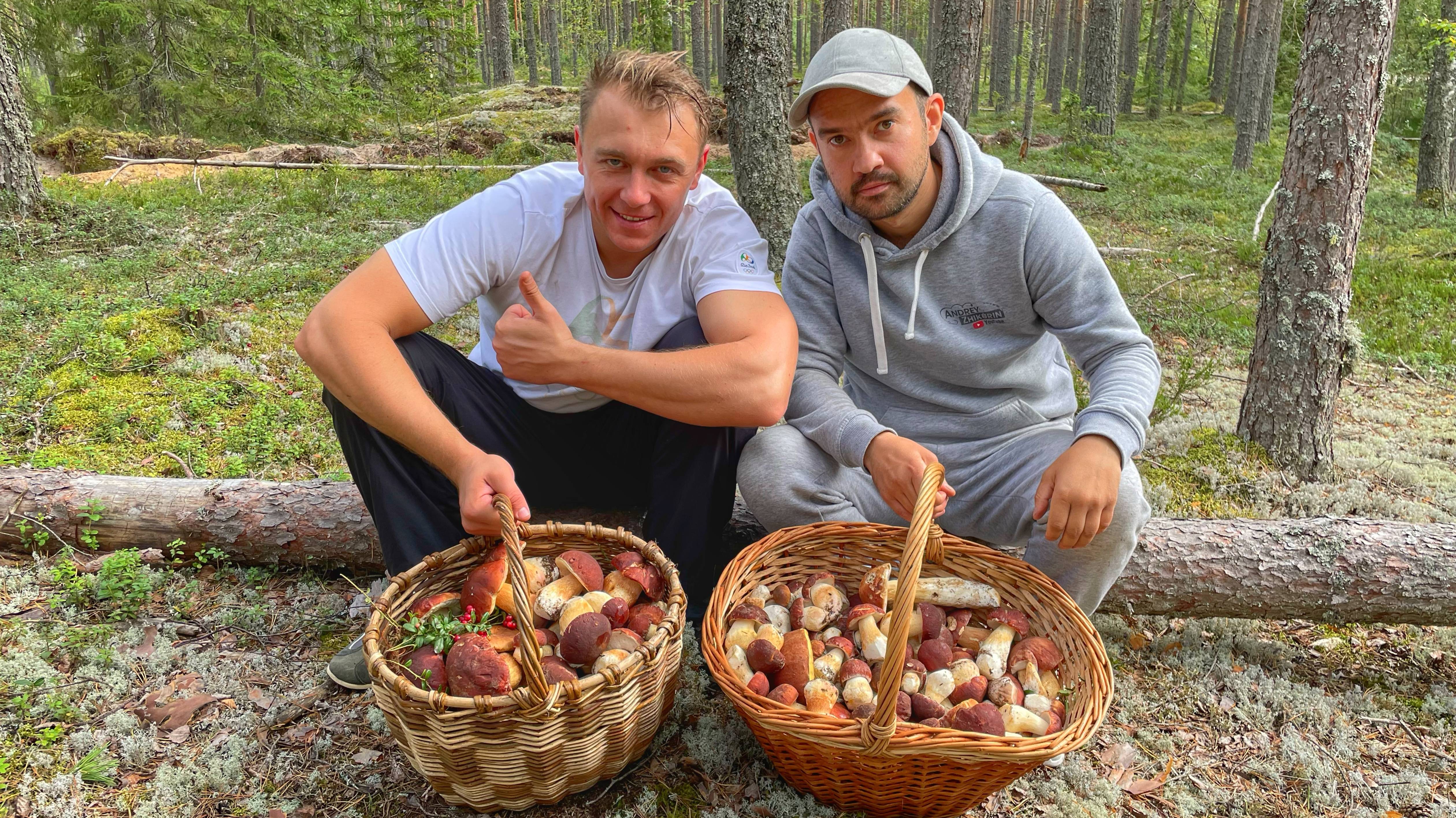 ЛУЧШАЯ ТИХАЯ ОХОТА В ЖИЗНИ! МНОГО БОРОВИКОВ В СОСНОВОМ ЛЕСУ. БЛАГОРОДНЫЕ ГРИБЫ 2021