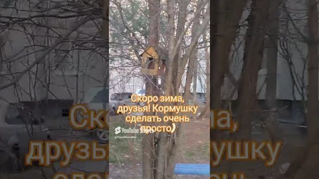 Кормушка