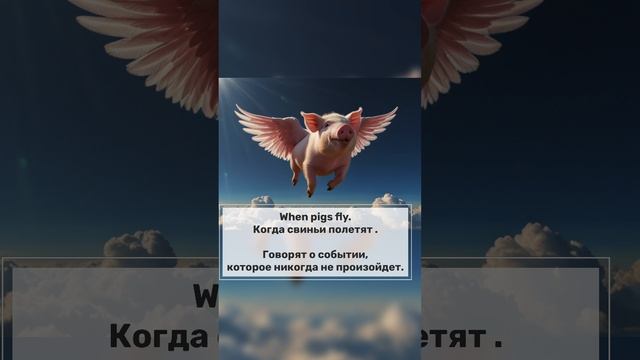 Поговорки на английском языке