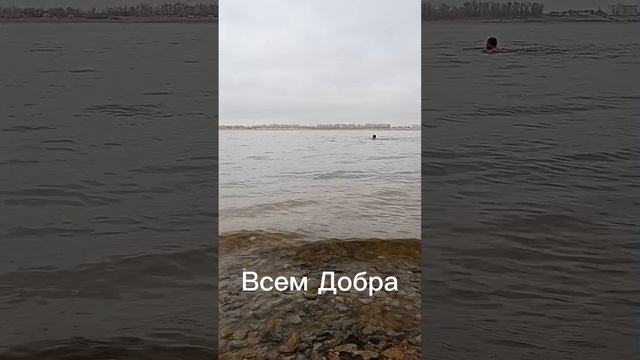 Ноябрьский заплыв на Волге