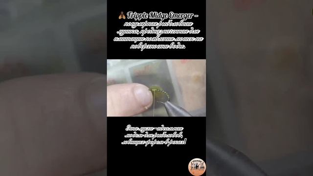 Fripple Midge Emerger — популярная рыболовная мушка, предназначенная для имитации появления мошек.