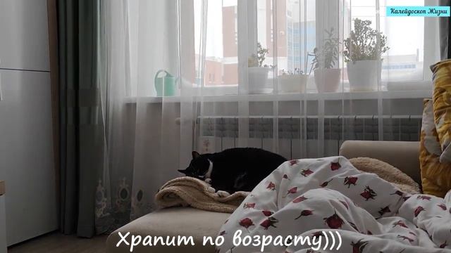 Красивый закат, метель, кошка Муся, мои добрые утра и вечерелы из окна. Мое творчество и рукоделие