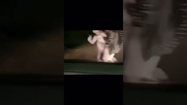 то происходит на этом видео?