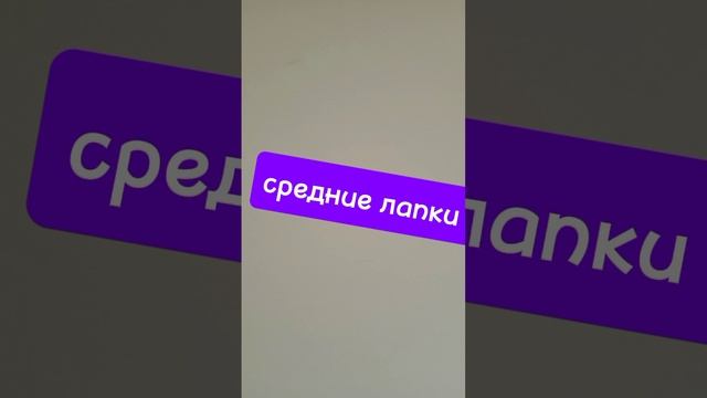 1000013285.mp4