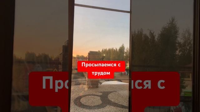Доброе утро! У нас очень #чихуахуа #собака #собакаулыбака #приколысживотными #собаки #топ