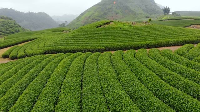 17973477-uhd_3840_2160_30fps