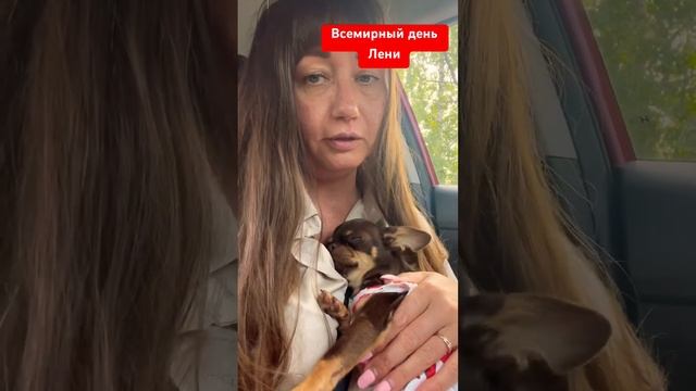 Хочет обнимашки и целовашки #чихуахуа #собака #christmassongs #собакаулыбака #щенок #животные # топ