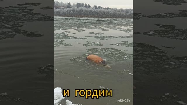 Сила духа!