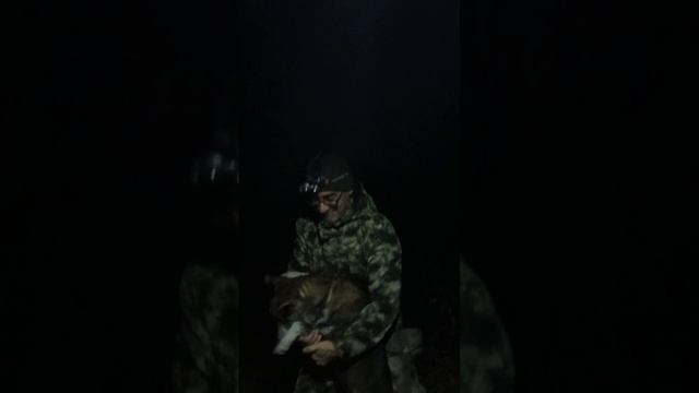 дискотека сталкеров