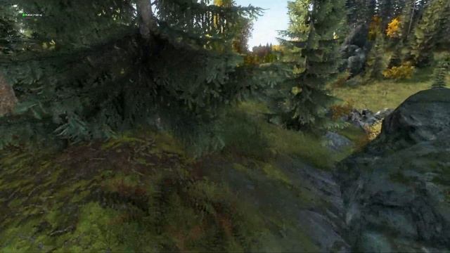 DAYZ. Cервер WASD