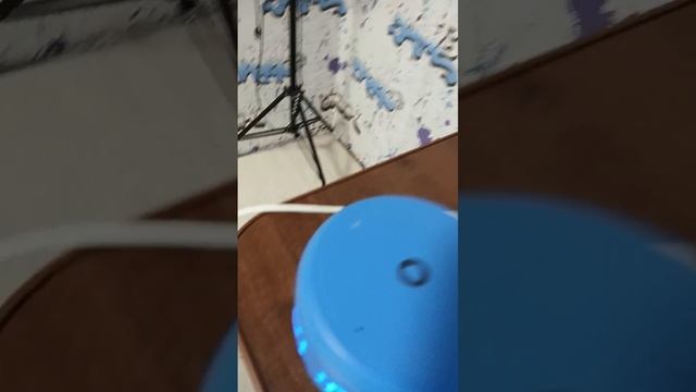 scene_output.mp4