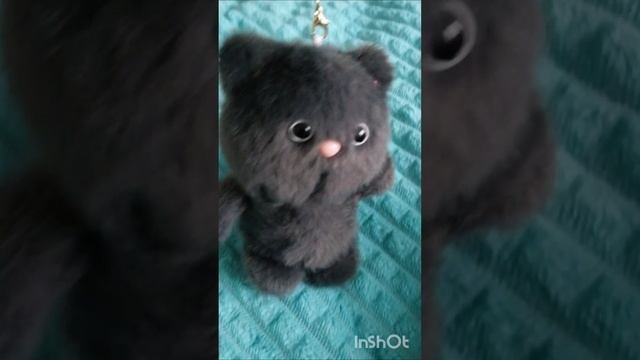 Кот басик стал маленьким!