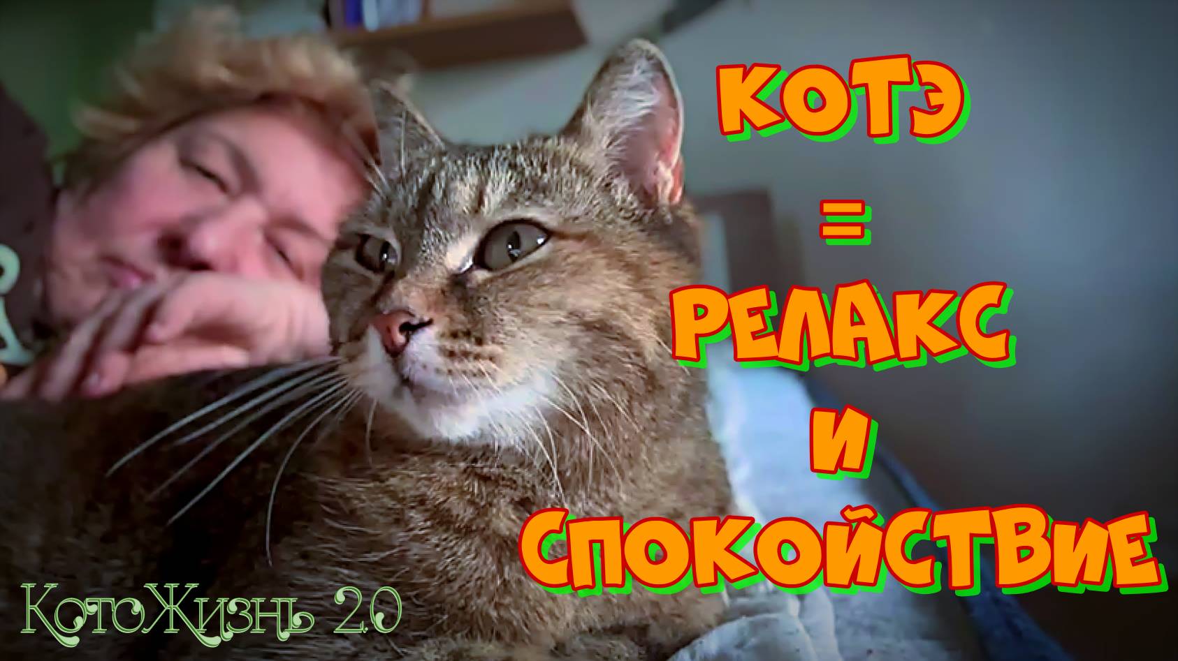Котэ = релакс и спокойствие