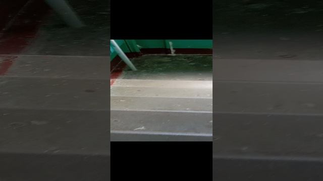 1000005525.mp4