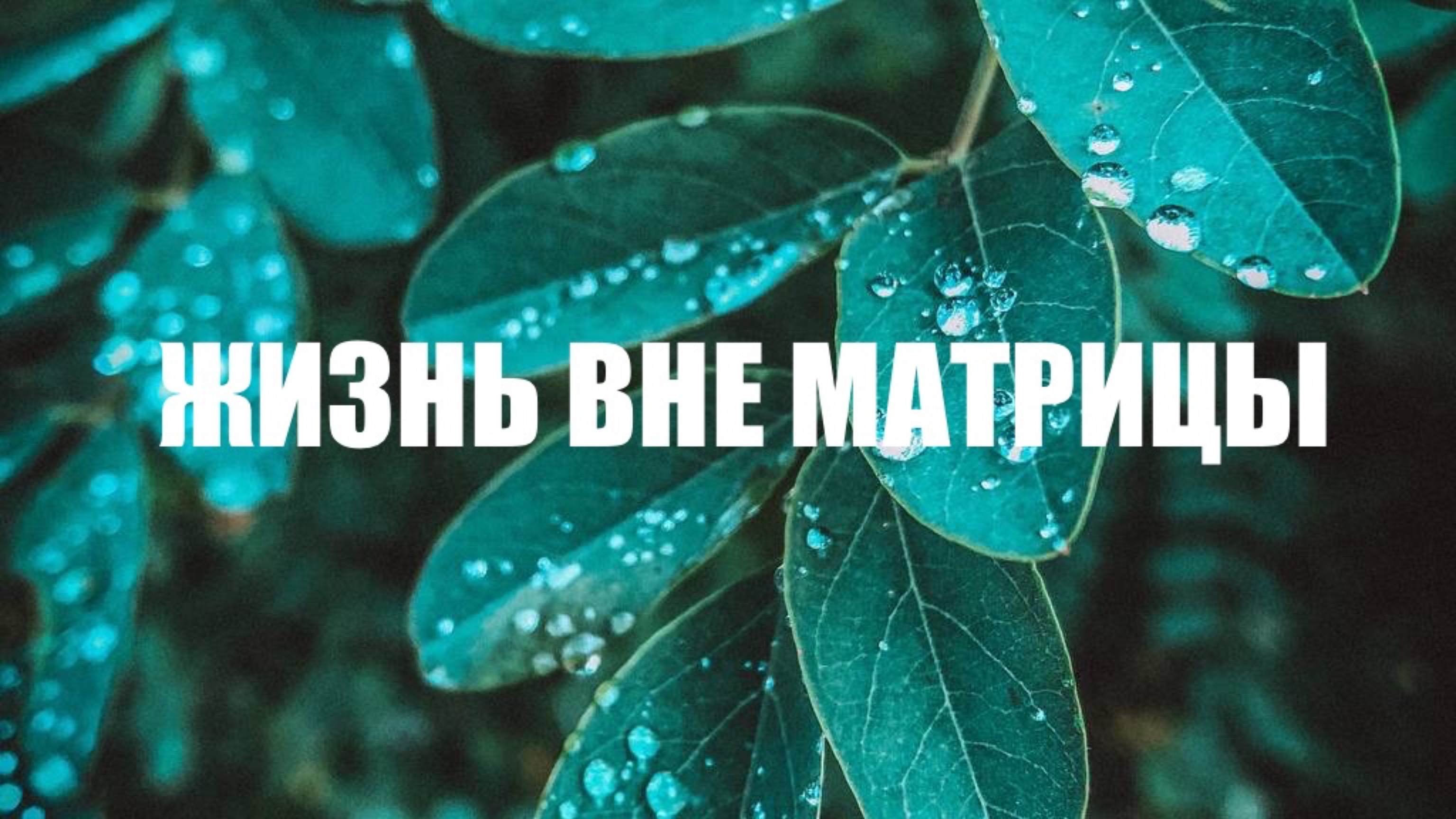 Жизнь в матрице и вне неё #просветление