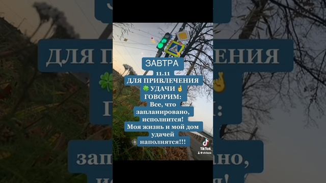 Что надо сделать 11 ноября?