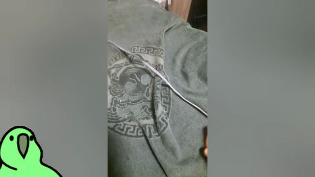 ♠︎♧Я ленивый ПЕЛЕМЕНЬ! ♤♣︎