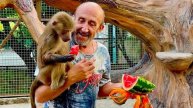 Папа с мамой пришли к Люське и она решила стать блогером и снимать ролики)