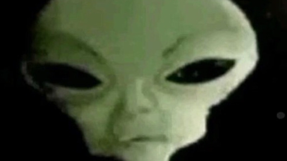 бравал