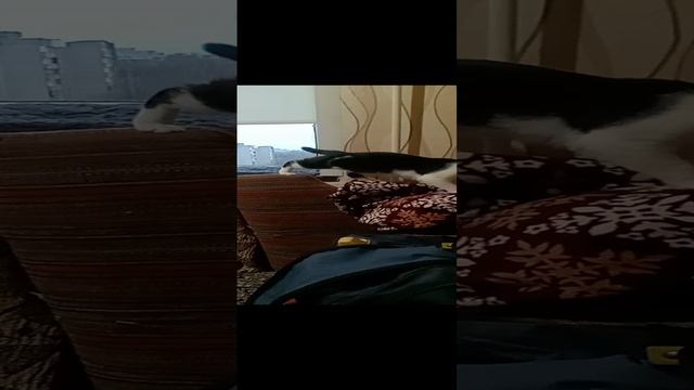 Что это Стасян делает? Надо проверить :-)