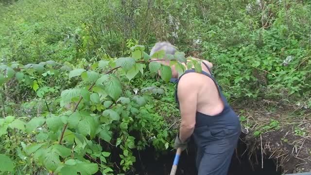 Английский для начинающих.
