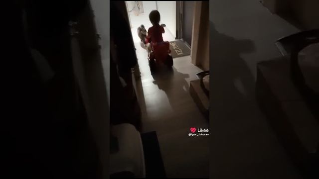 1000026399.mp4
