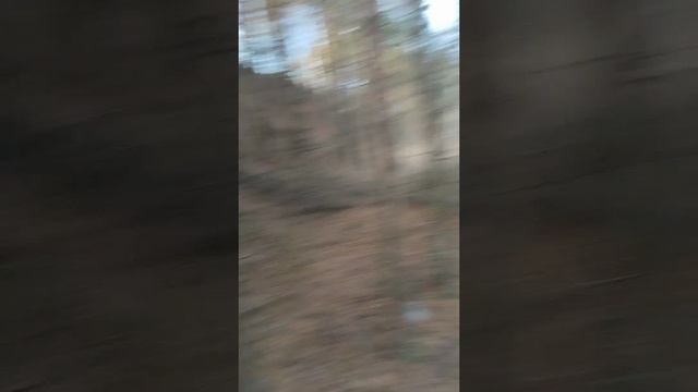 эндуро хорлово, Китай не вывозит