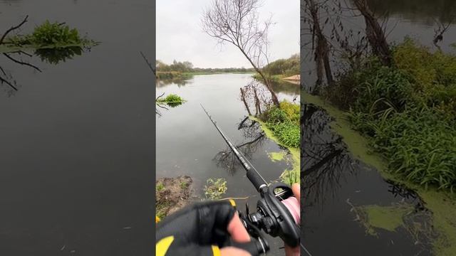 А вы Ловили щуку на 7кг