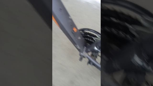 YouCut_20241110_121740776.mp4