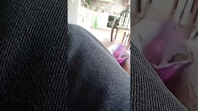 scene_output.mp4