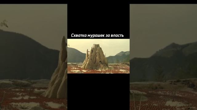 часть5