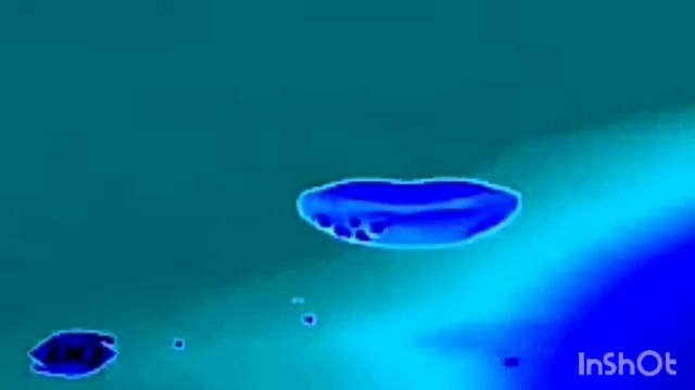 InShot_20241110_195848411.mp4