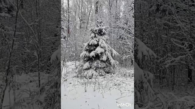"СНЕЖНОЕ ЧУДО!"
