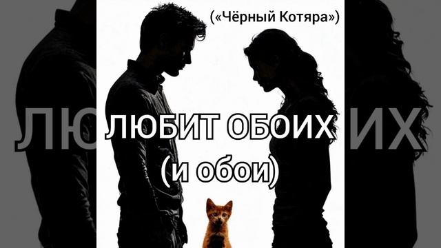 Любит обоих (и обои) (автор «Чёрный Котяра»)