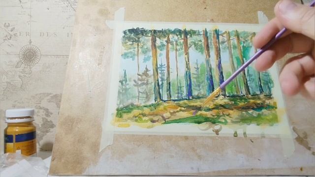 этюд "Сосны" акрил, тушь  бумага