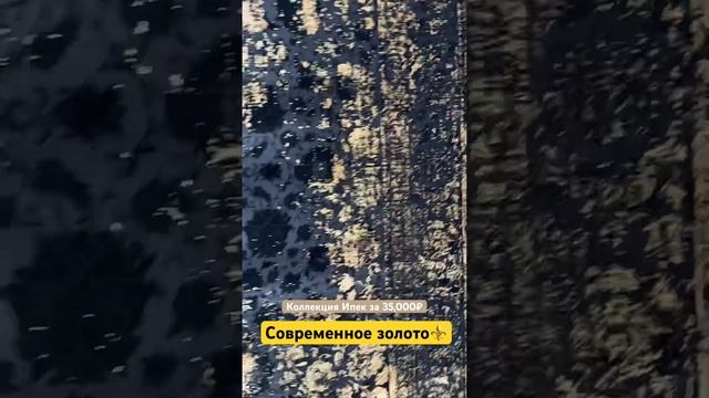 21 января 2024 г.