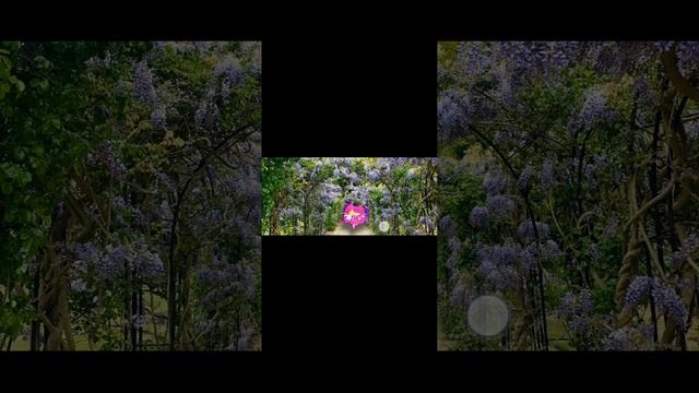 1000032768.mp4