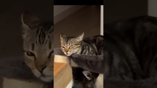 Уровень спокойствия, к которому я стремлюсь