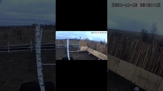Просмотр камер видеонаблюдения в реальном времени на смартфоне