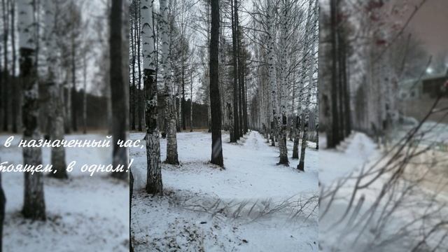 Не желайте весны, если снег за окном..стихи для души